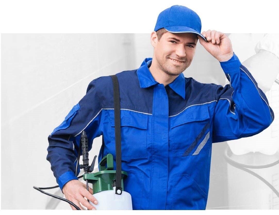 Pest Control Long Island City NY A3 Superior Pest Control