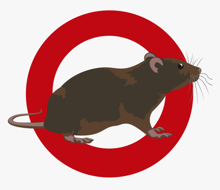 112 1124140 clipart rat pest control mouse hd png download