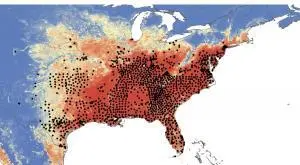 distributionofaedes p 300x165.jpg