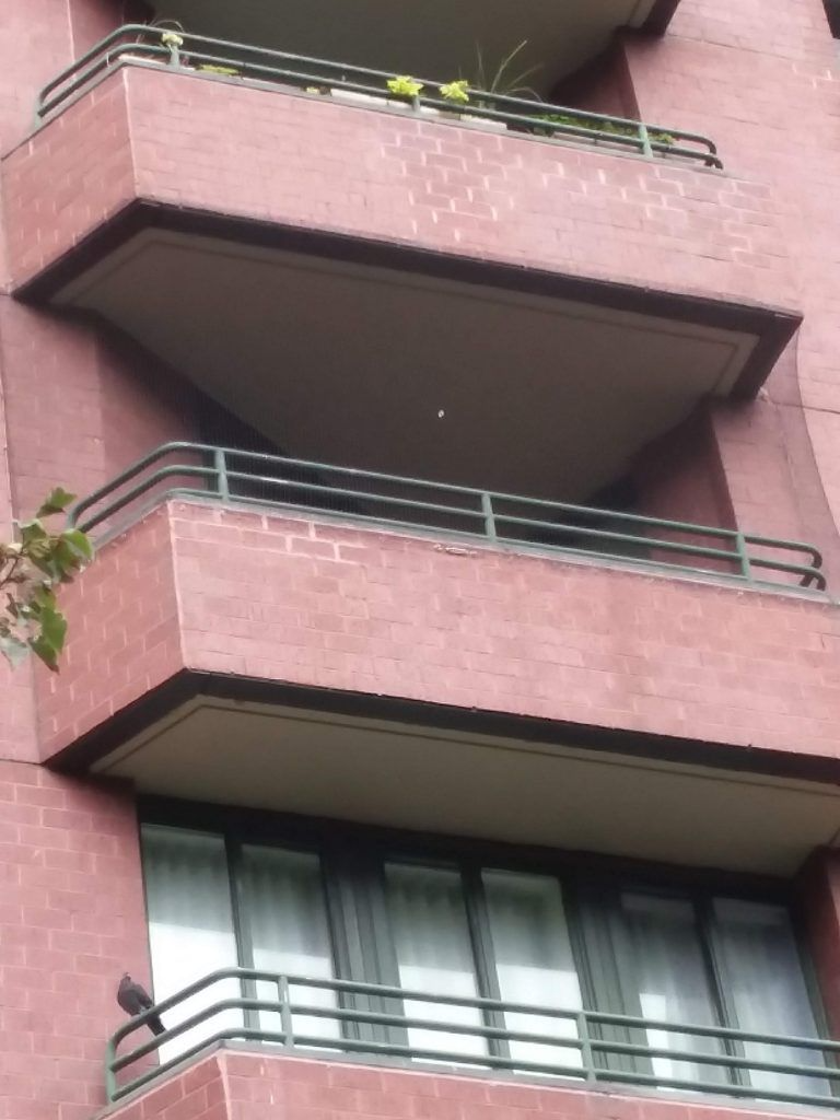 balcony bird netted 768x1024