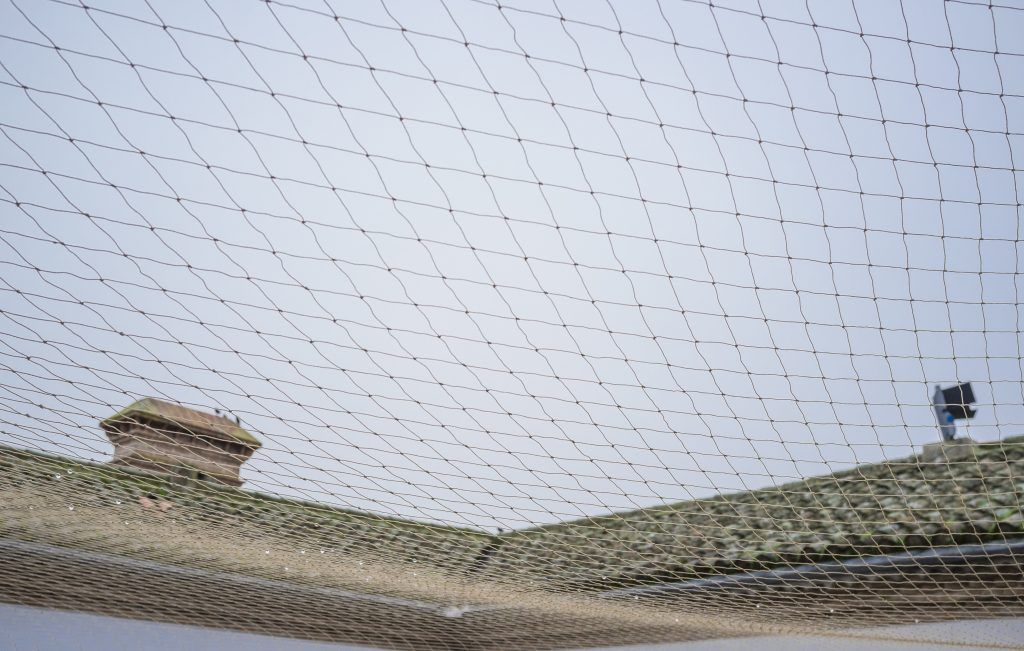 bird netting 1024x651