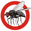 fly1