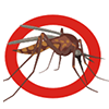 mosquito control1