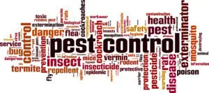 pest control 300x133.jpg