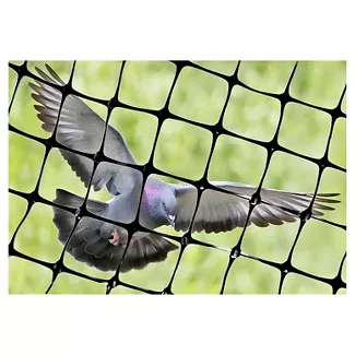pigeon netting