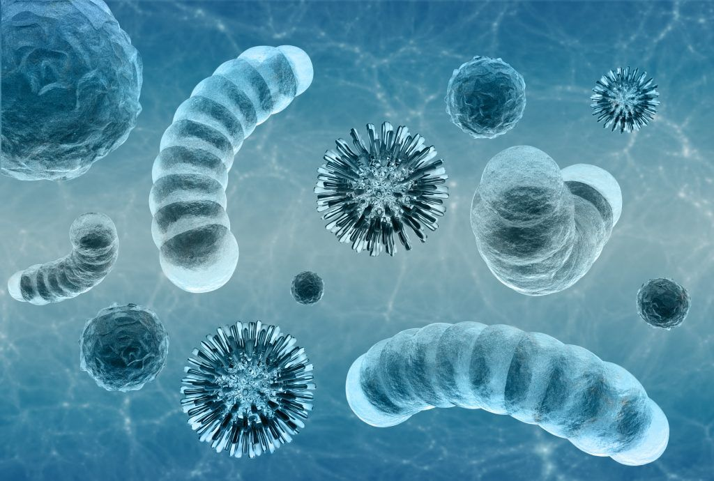 virus 1024x690